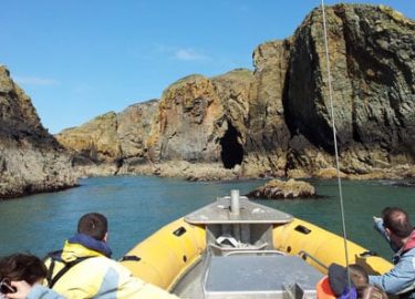 Venture Jet Ramsey Island family wildlife boat trip on calm sunny day