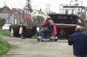 Woman on mobility scooter rescues gannet